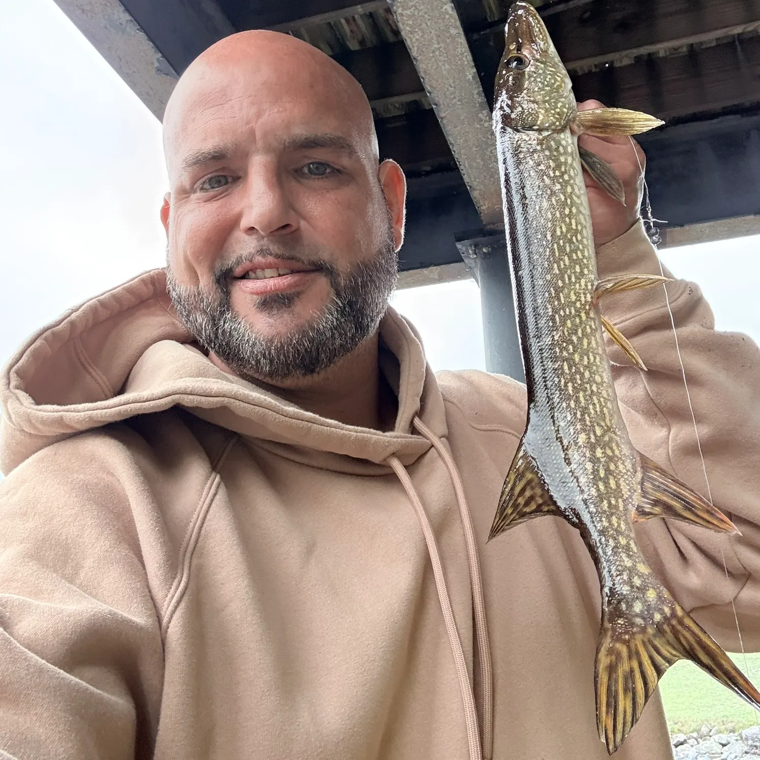 Northern pike caught on Fishbrain