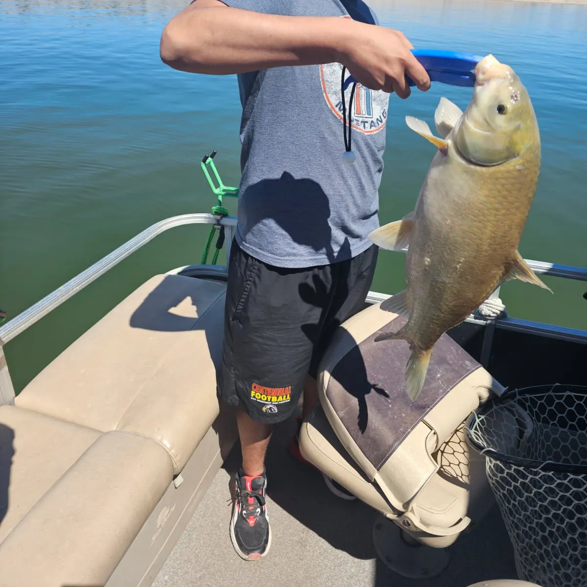 The most recent Black buffalo catches on Fishbrain