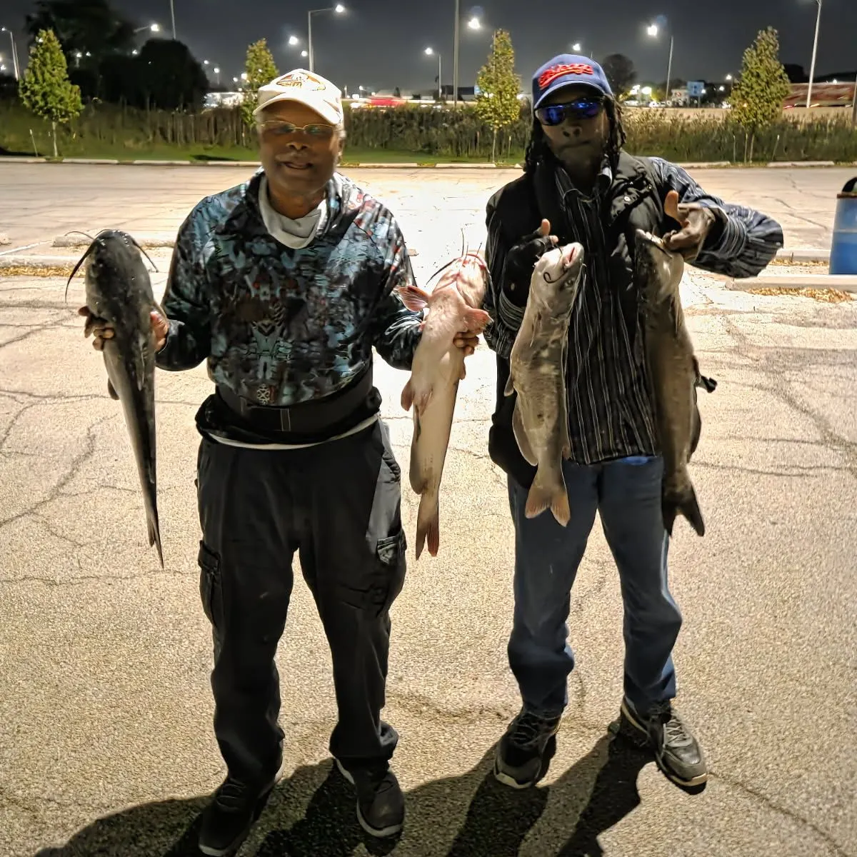 Channel catfish caught on Fishbrain