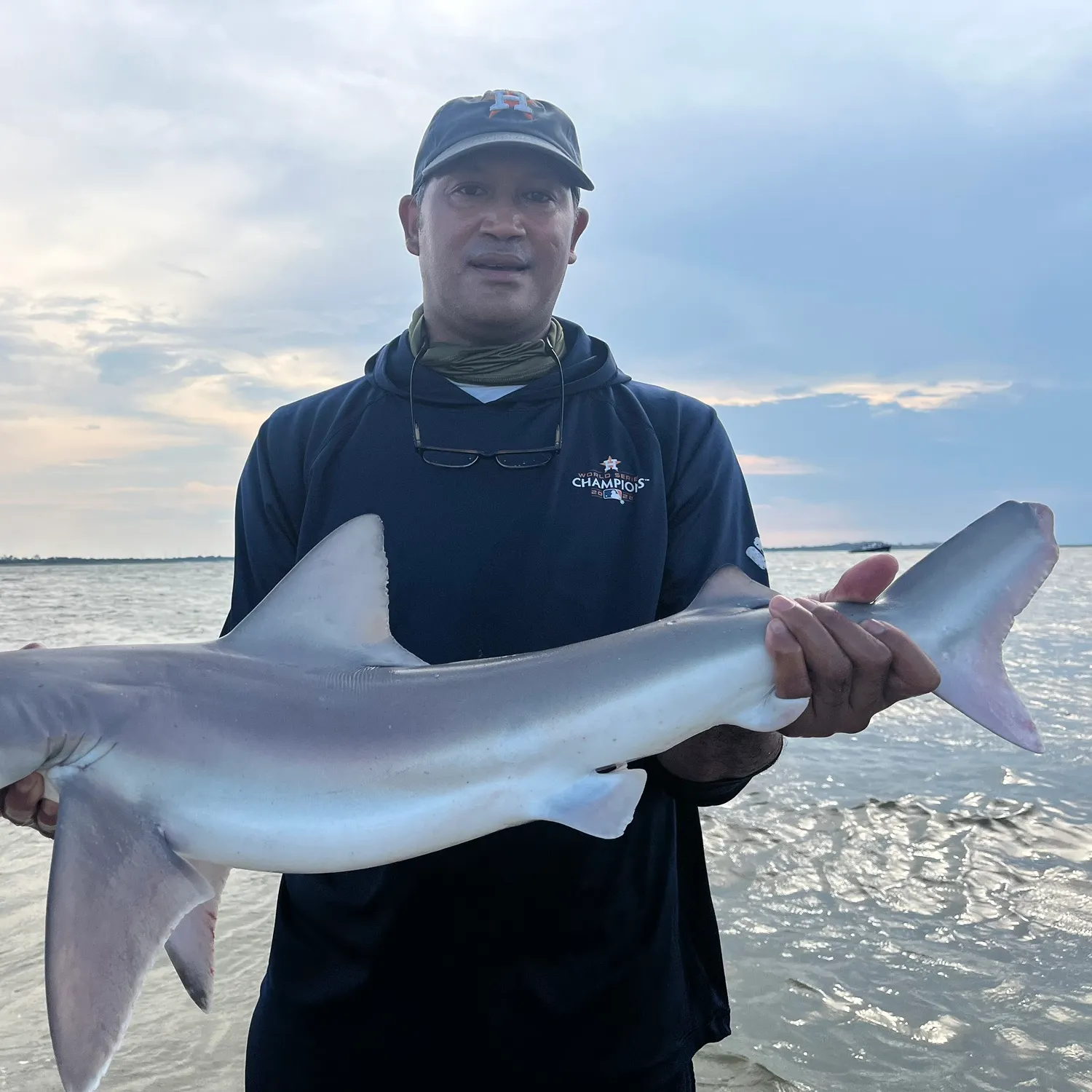 Sandbar shark caught on Fishbrain