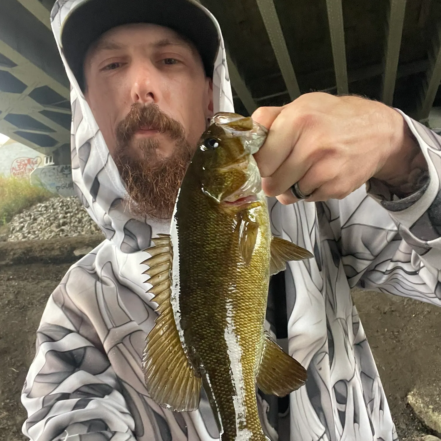 Smallmouth bass caught on Fishbrain