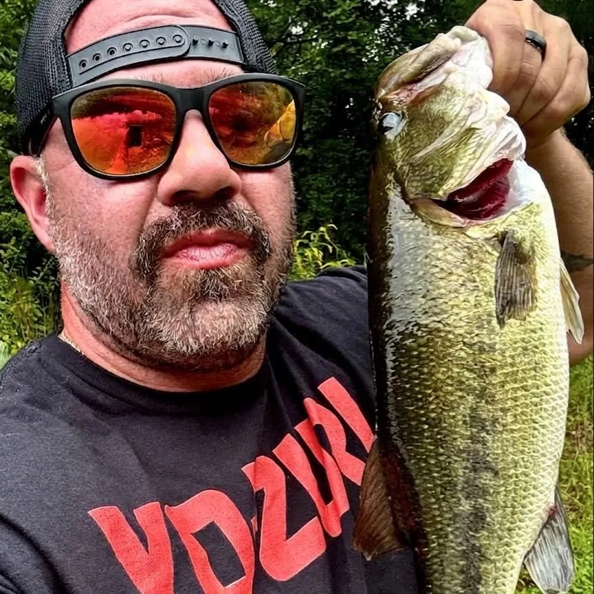 Largemouth bass caught on Fishbrain
