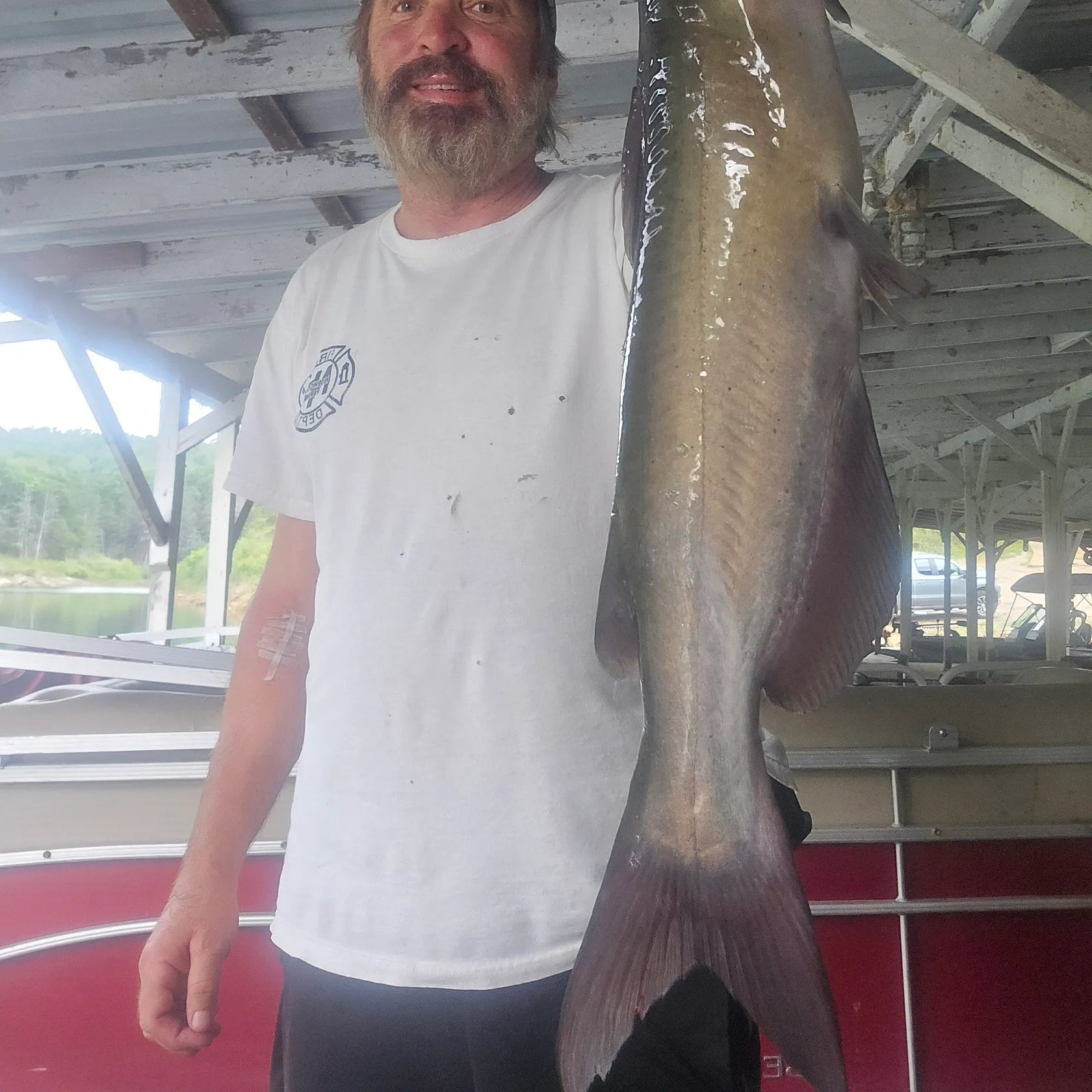 Channel catfish caught on Fishbrain