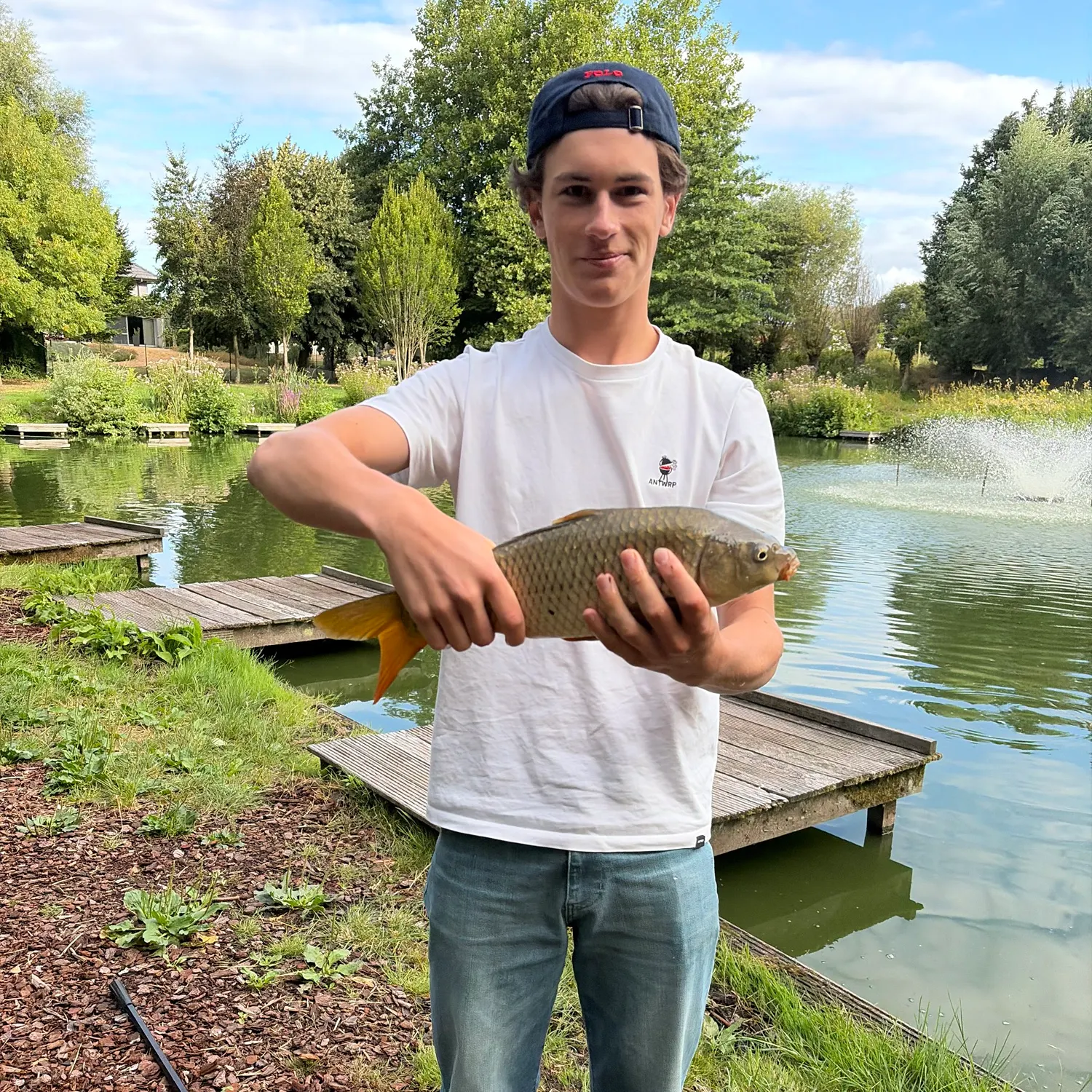 Common carp caught on Fishbrain