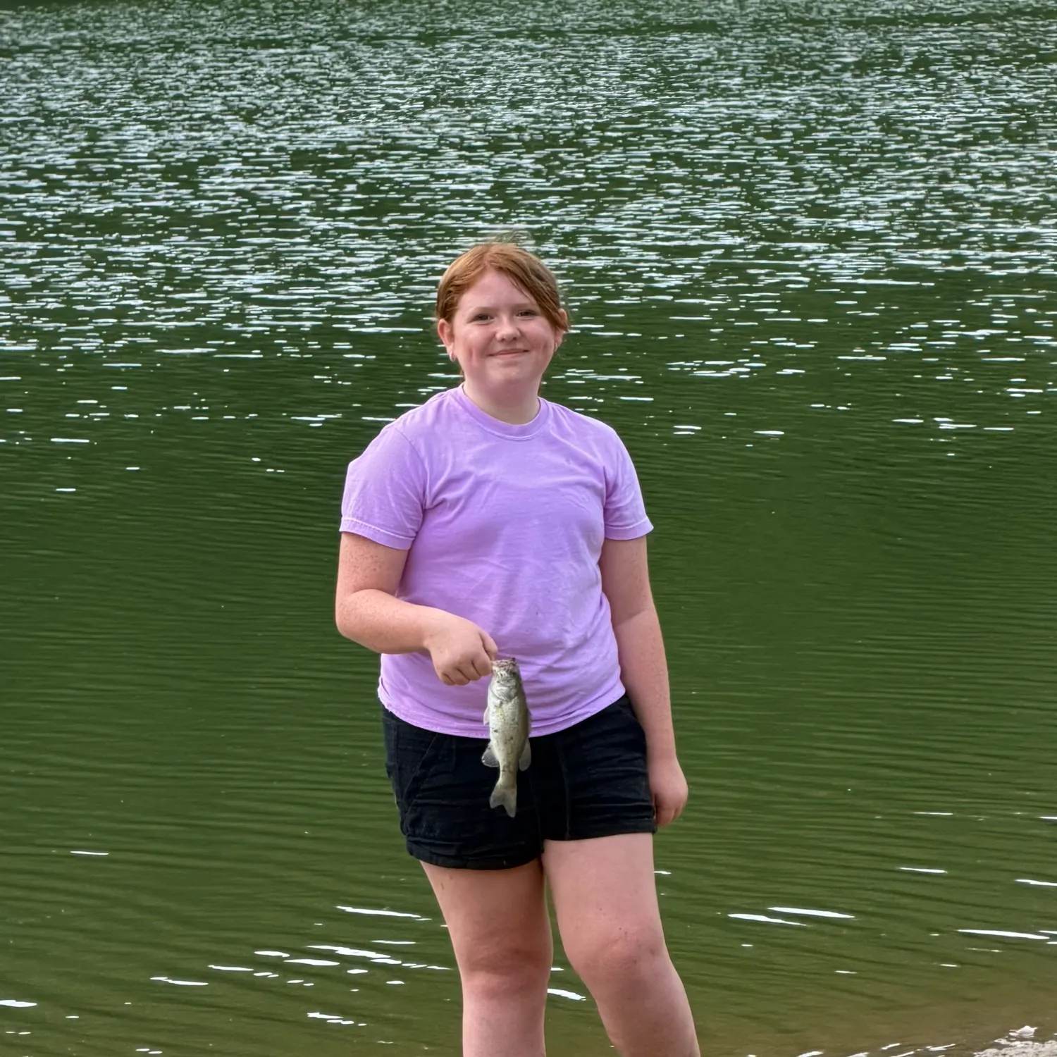 Smallmouth bass caught on Fishbrain