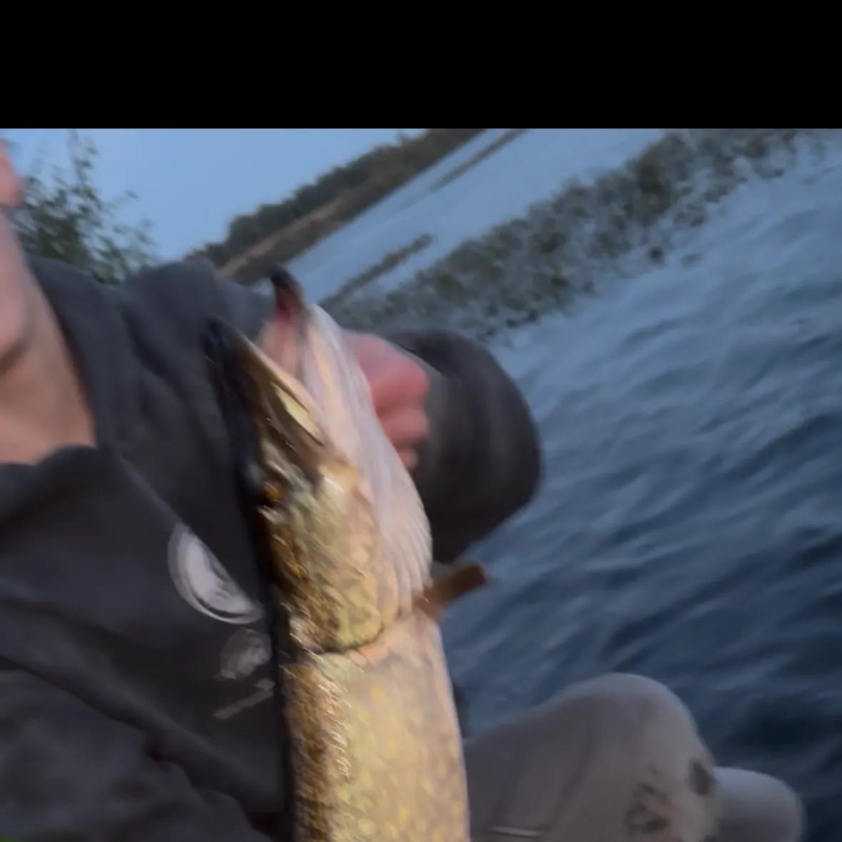 Northern pike caught on Fishbrain