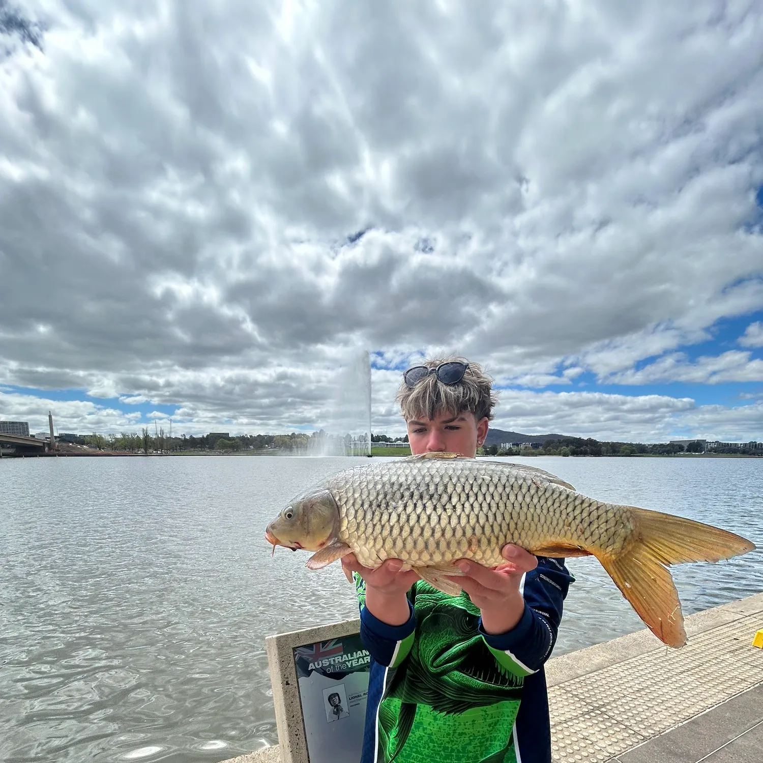 Common carp caught on Fishbrain