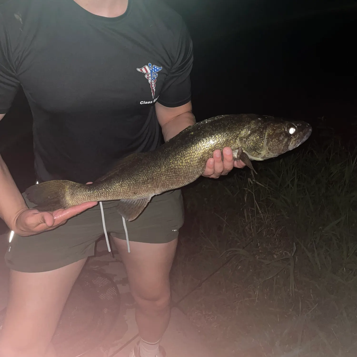 Walleye caught on Fishbrain