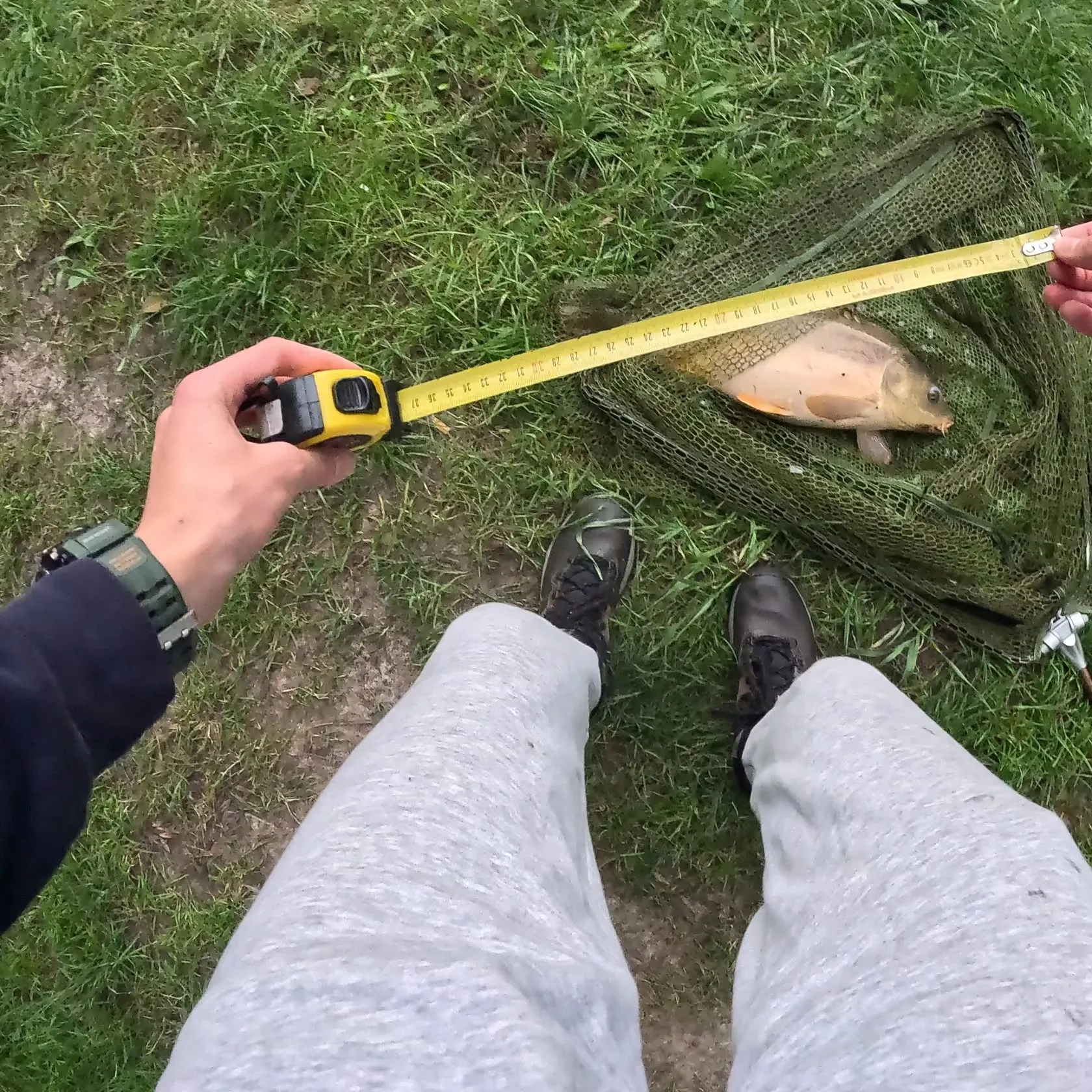 Mirror carp caught on Fishbrain