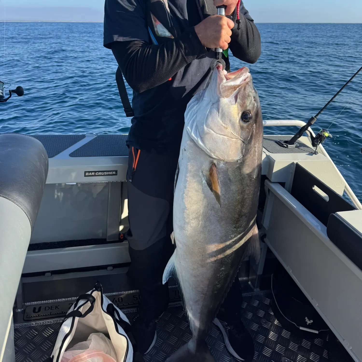 The most recent Almaco jack catches on Fishbrain