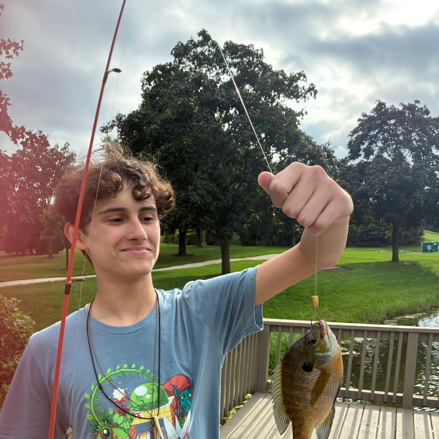 Bluegill caught on Fishbrain
