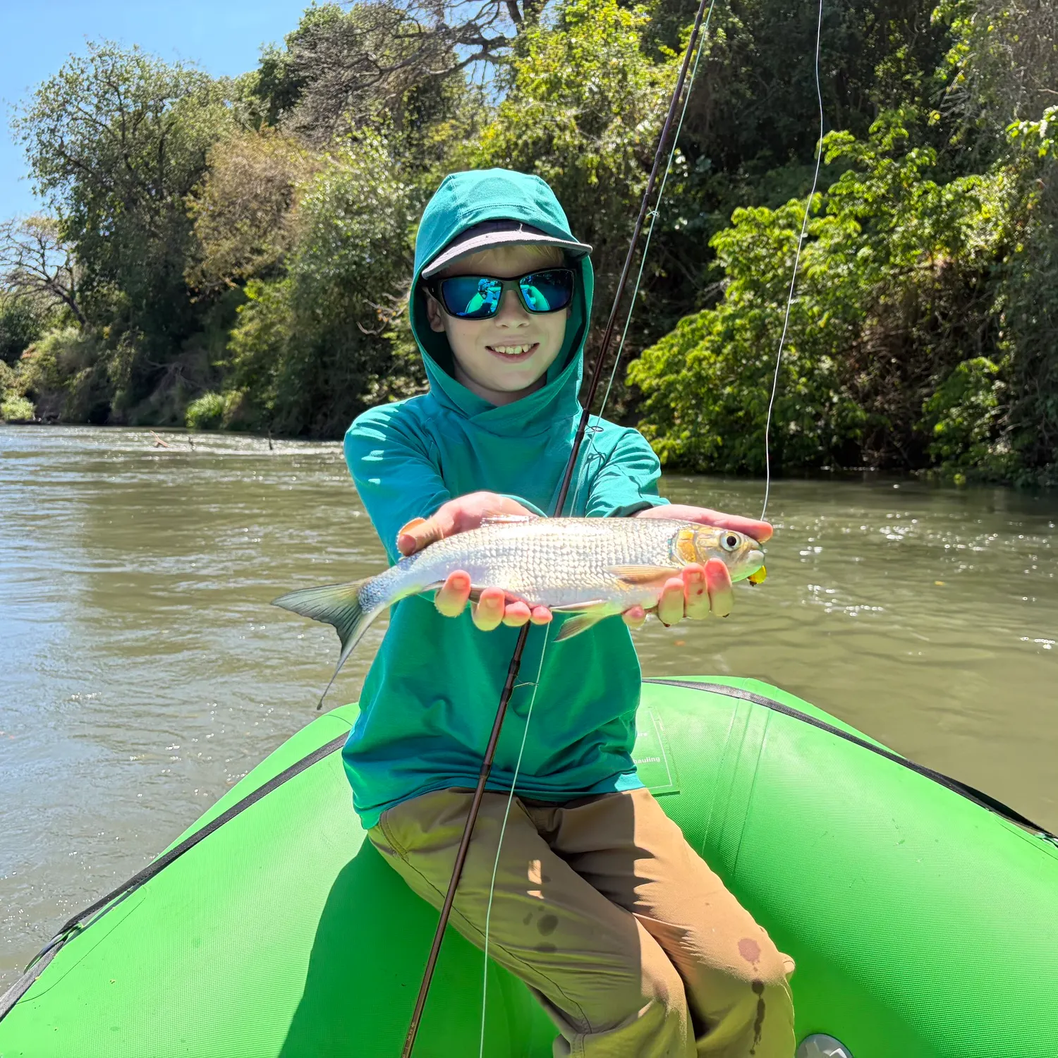 The most recent Machaca catches on Fishbrain