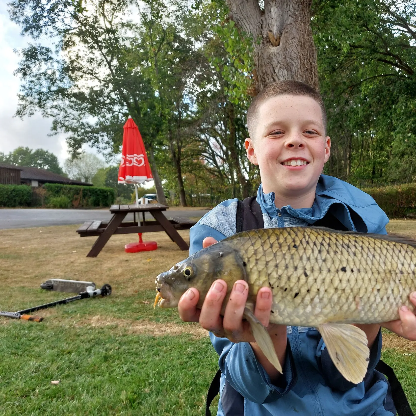 Common carp caught on Fishbrain