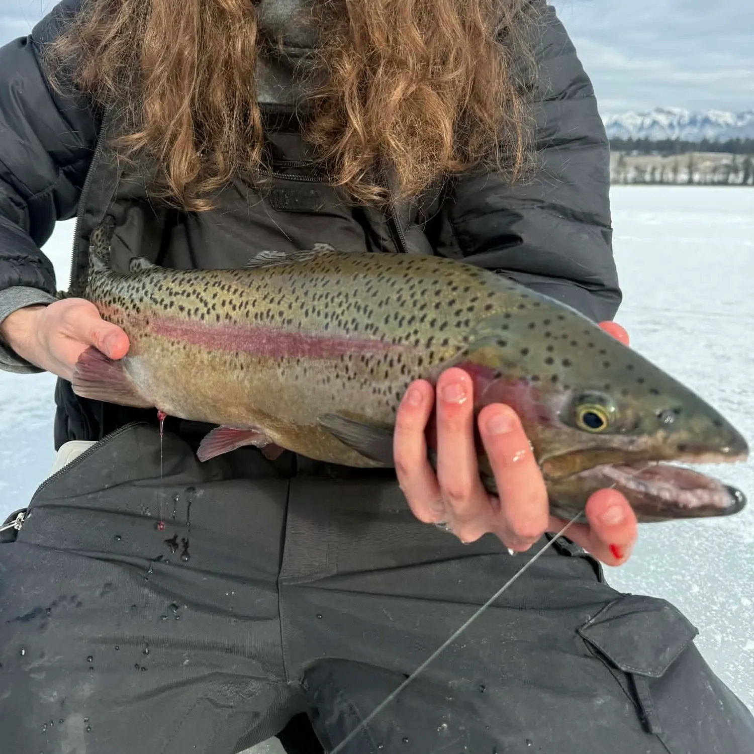 Rainbow trout caught on Fishbrain