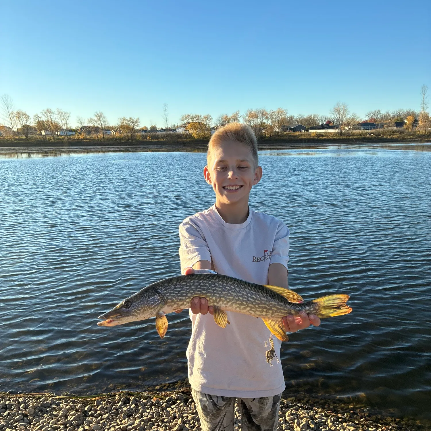 The most recent Northern pike catches on Fishbrain