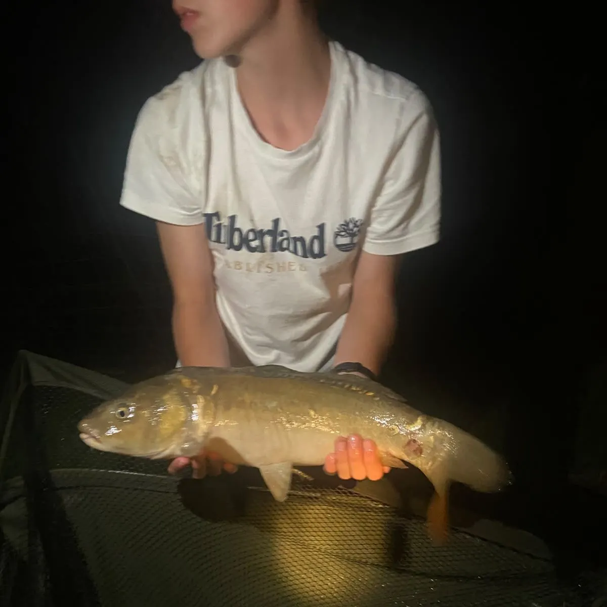 Leather carp caught on Fishbrain