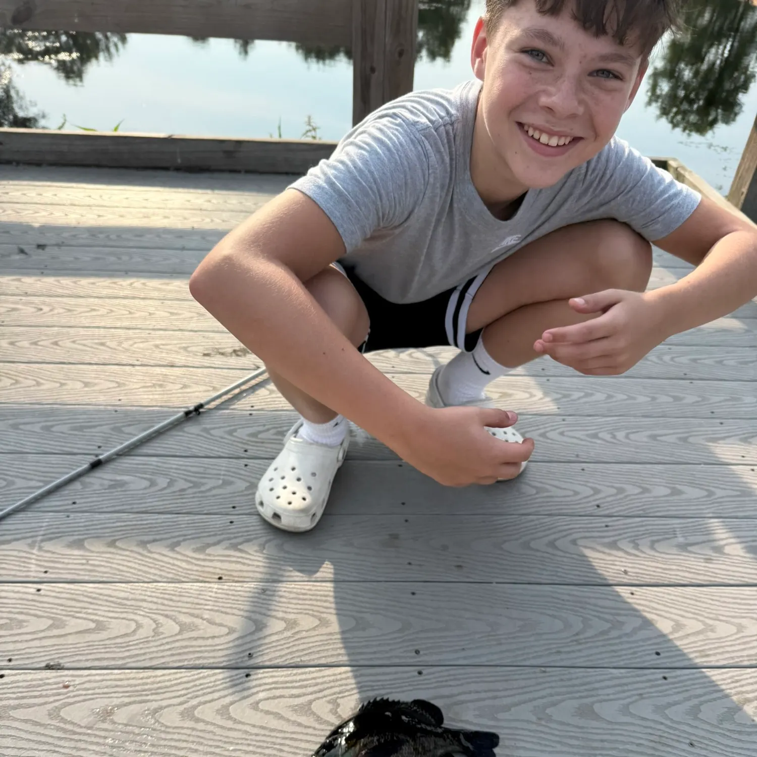 Bluegill caught on Fishbrain