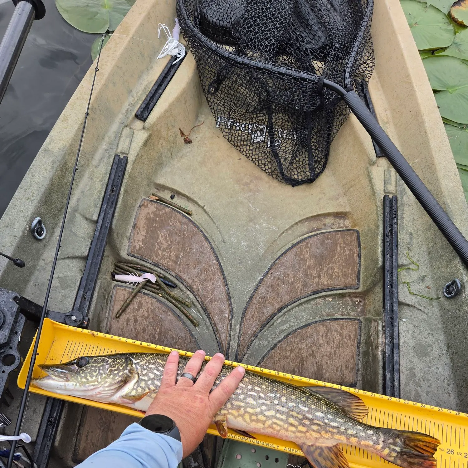 Northern pike caught on Fishbrain