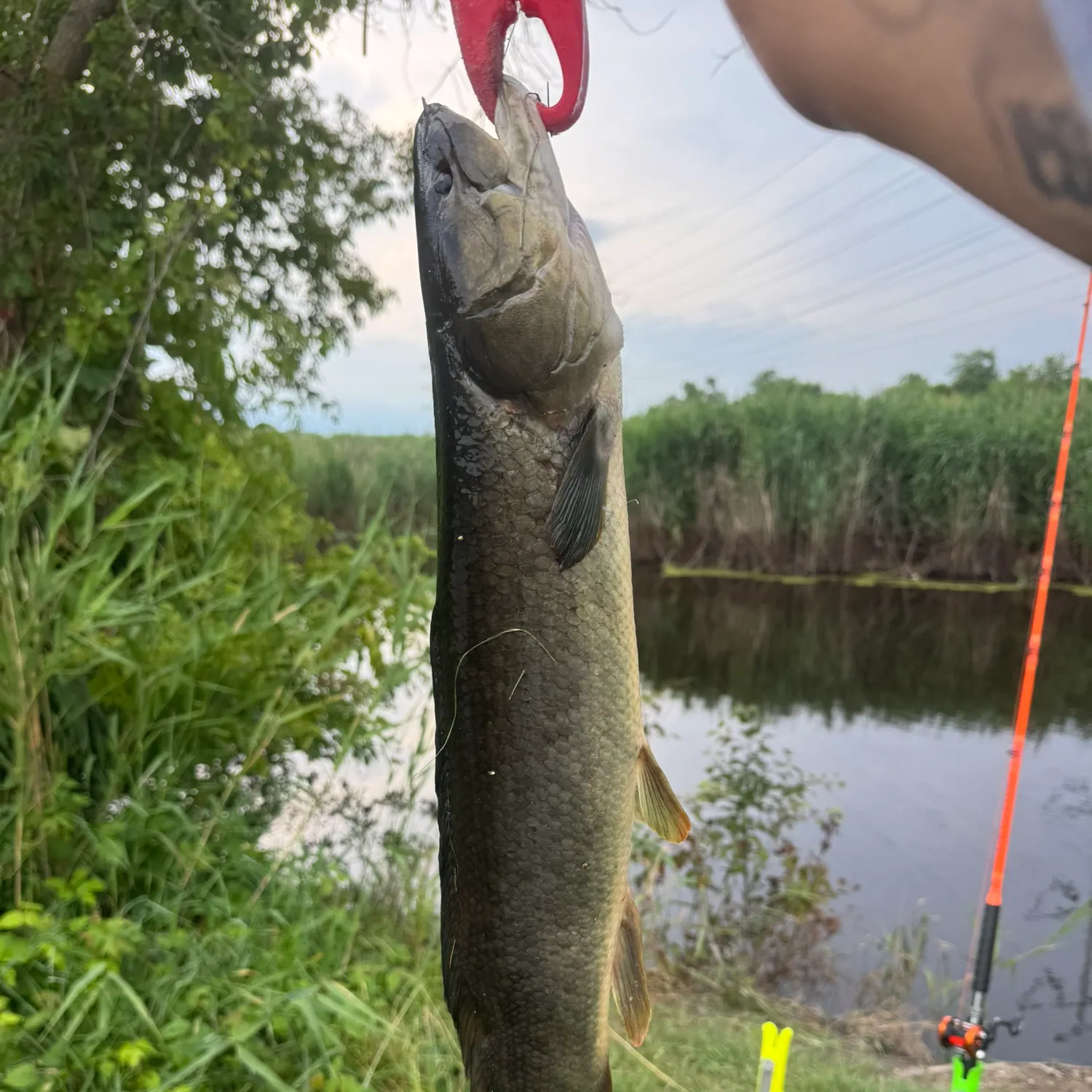 catch
