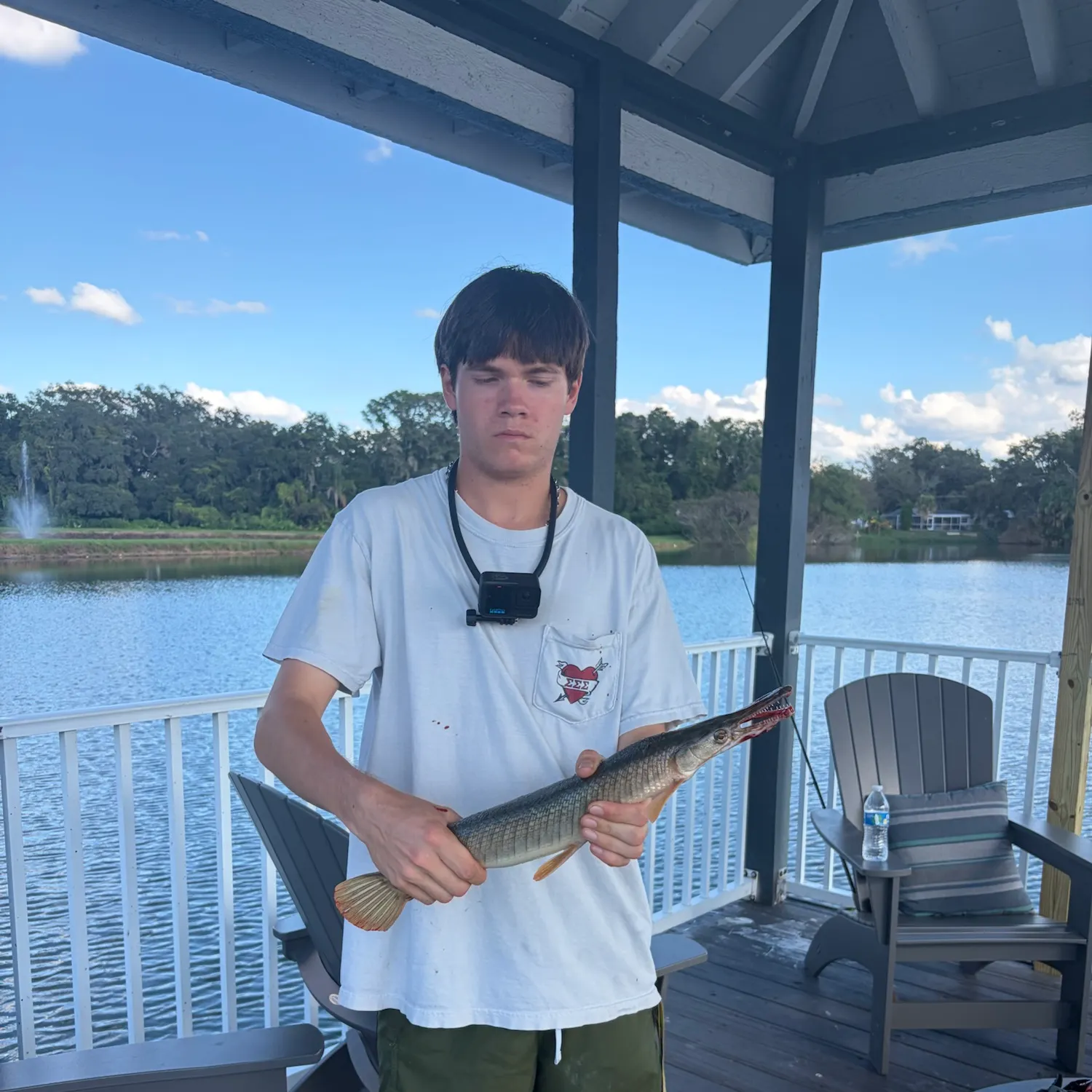 Shortnose gar caught on Fishbrain