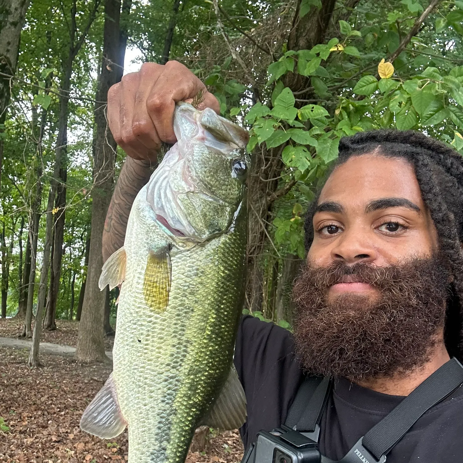 Largemouth bass caught on Fishbrain