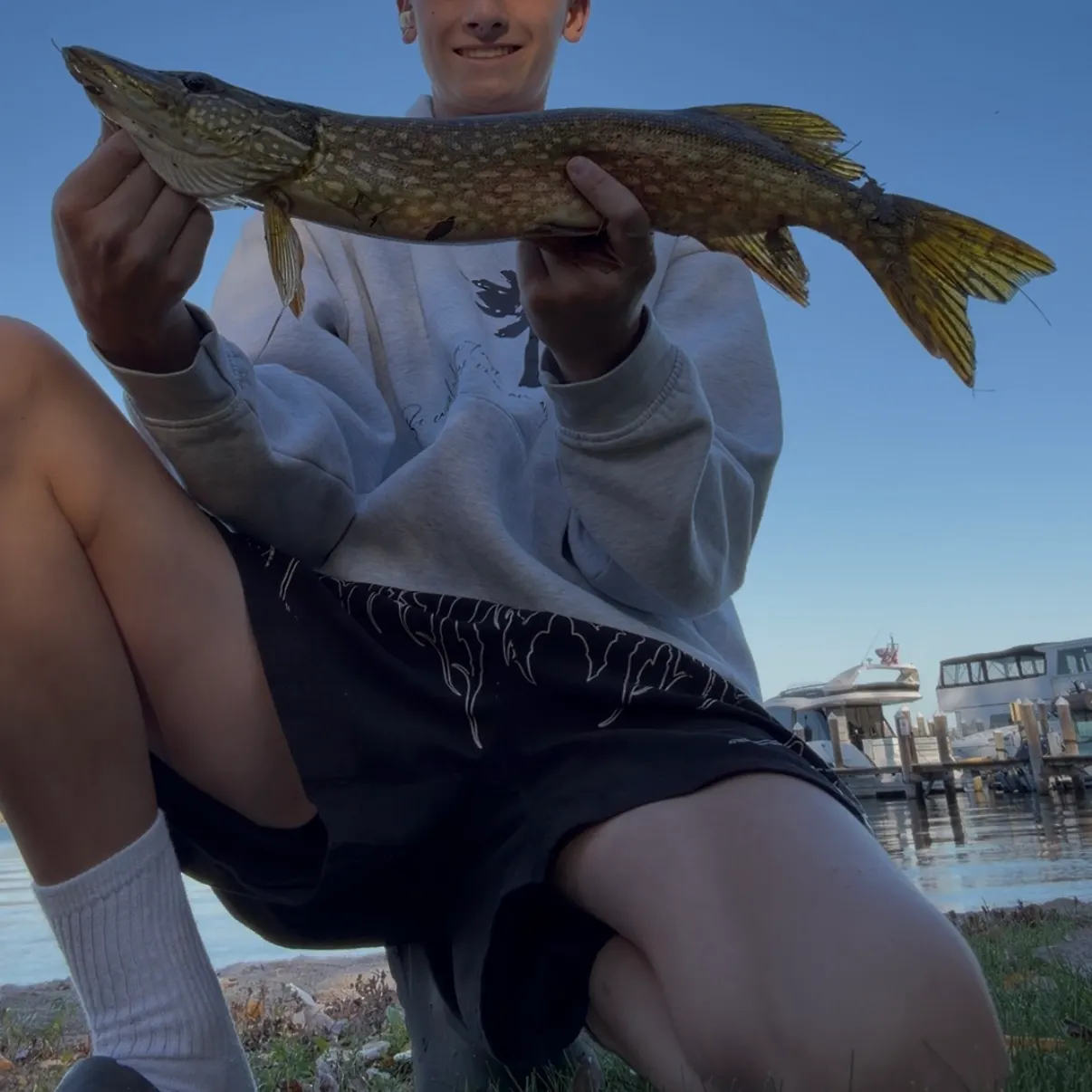Northern pike caught on Fishbrain