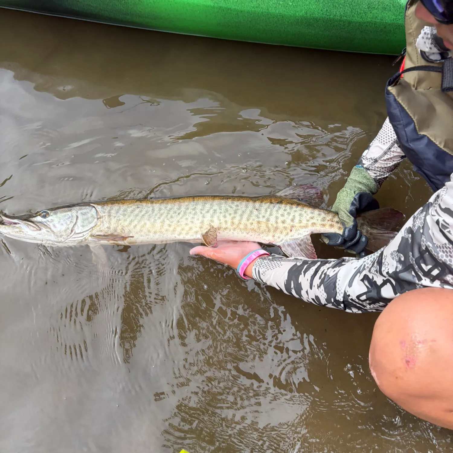 Muskie caught on Fishbrain