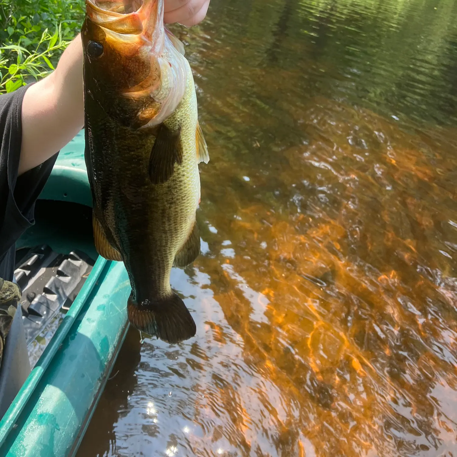 angler catch