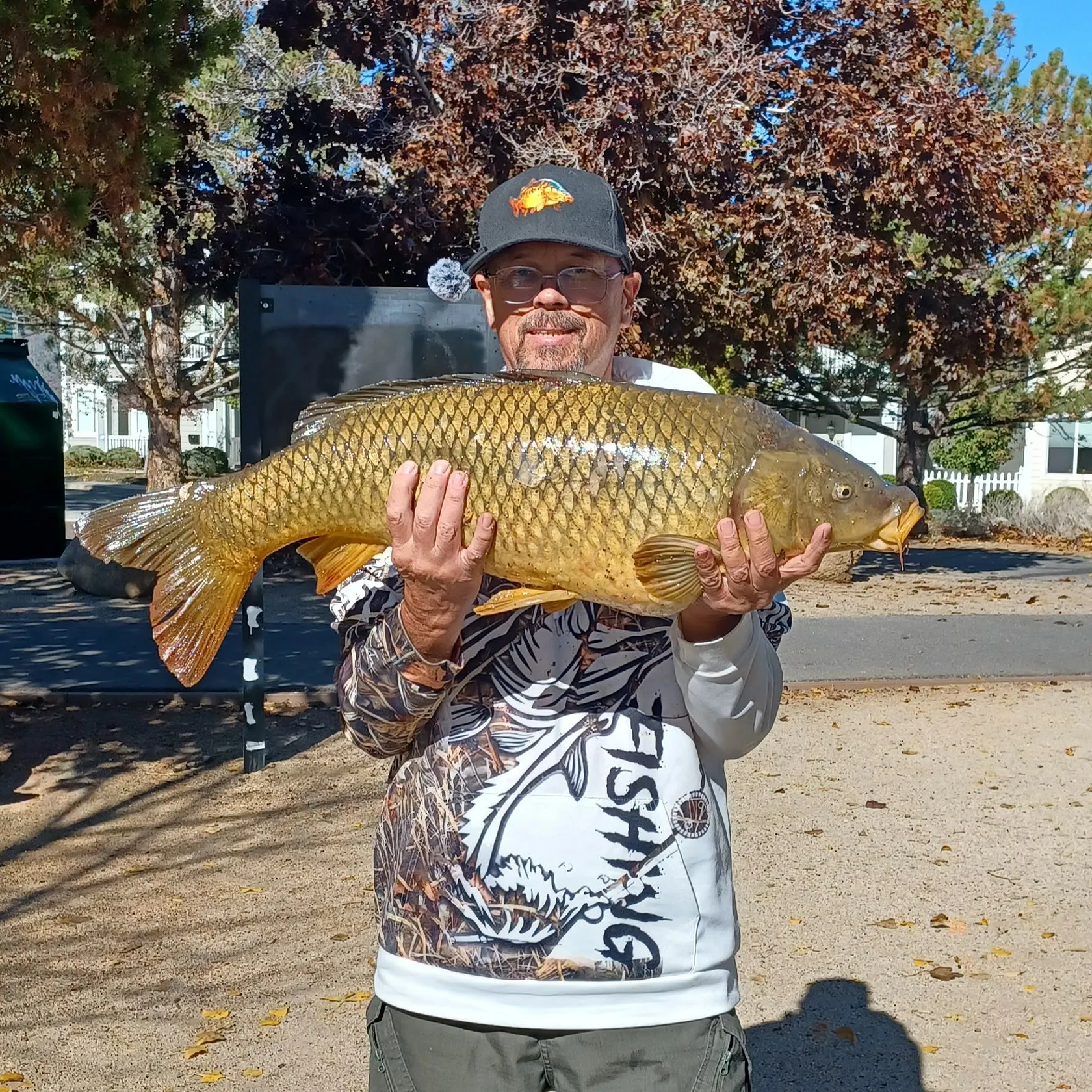 Common carp caught on Fishbrain