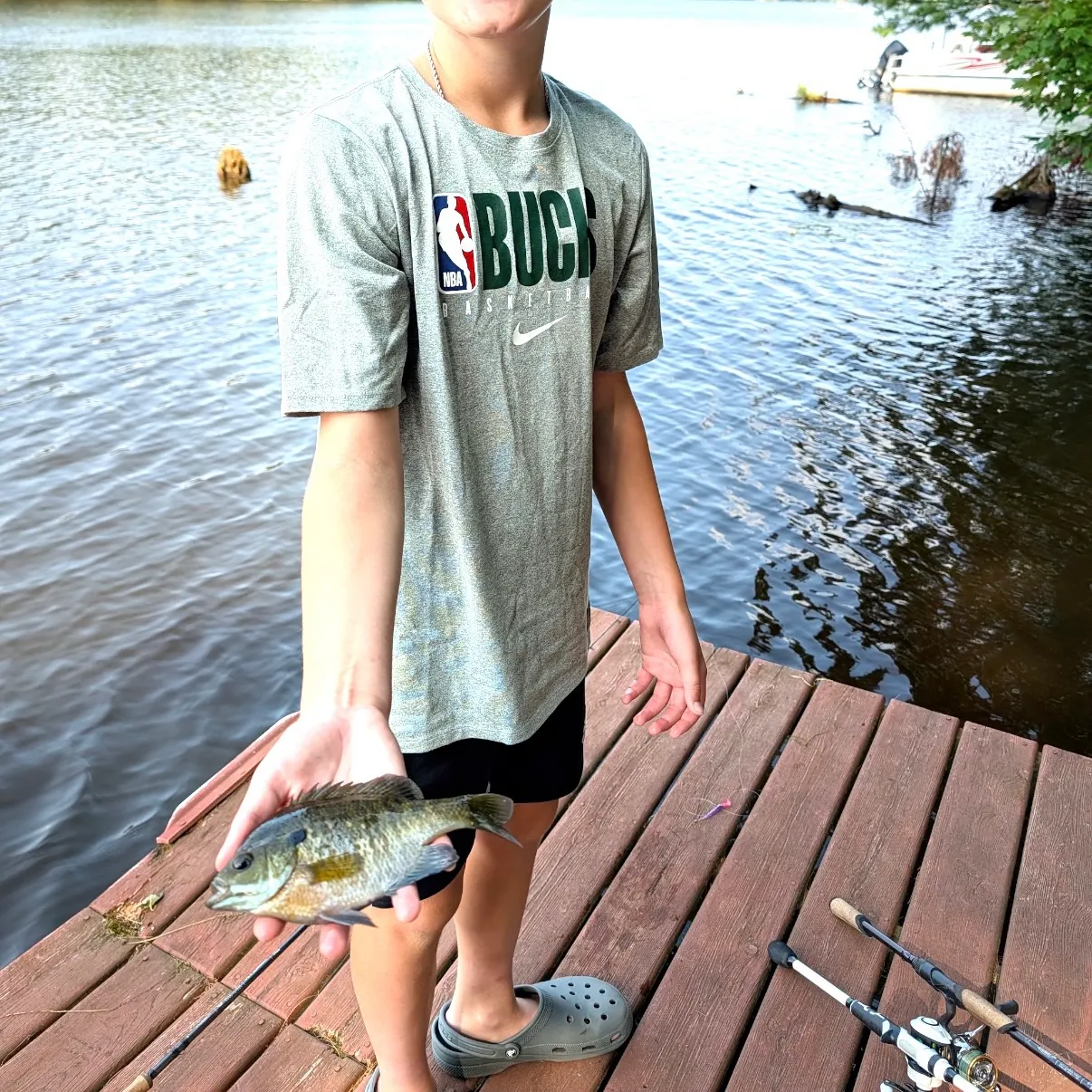 Bluegill caught on Fishbrain