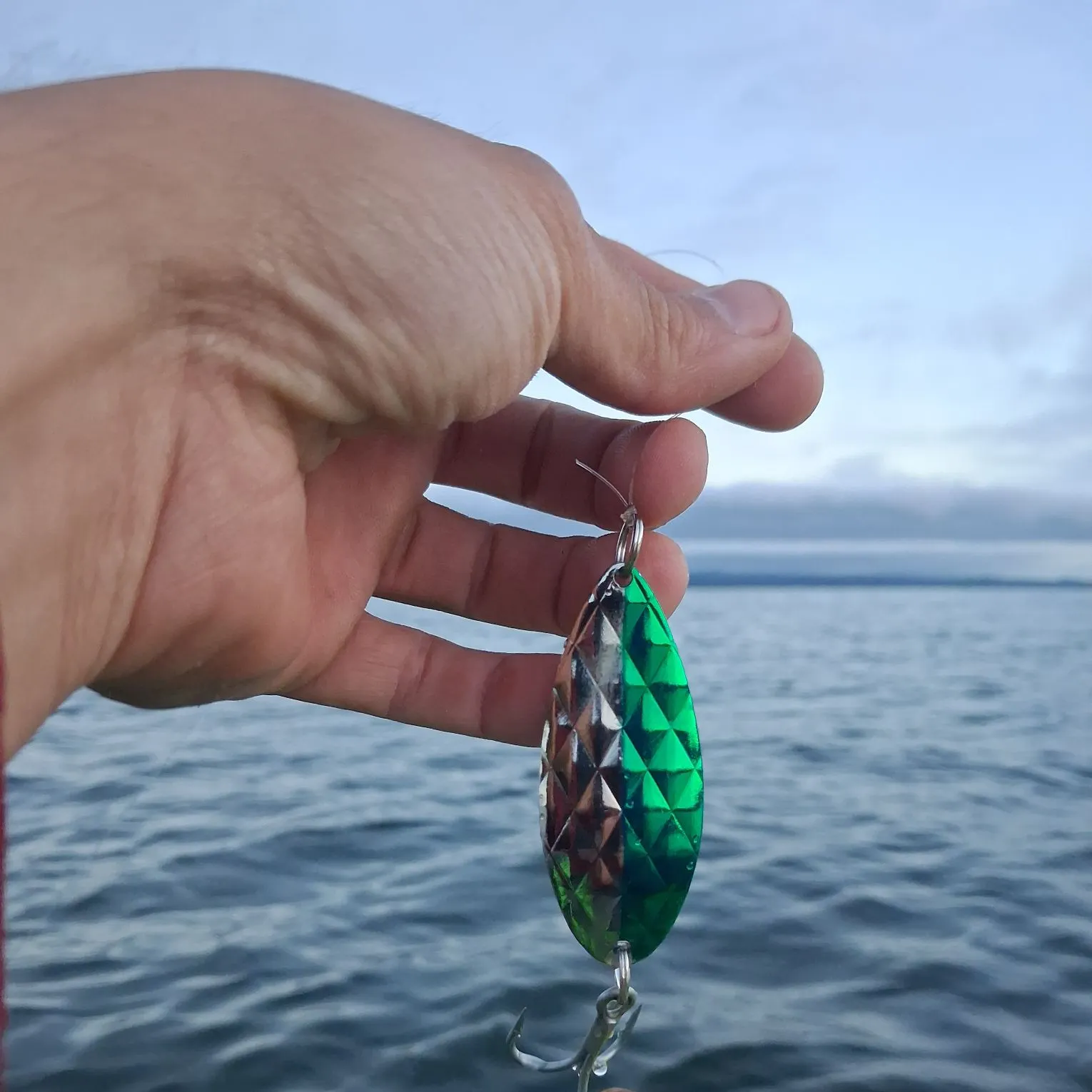 The most recent Thin-shelled rock crab catches on Fishbrain