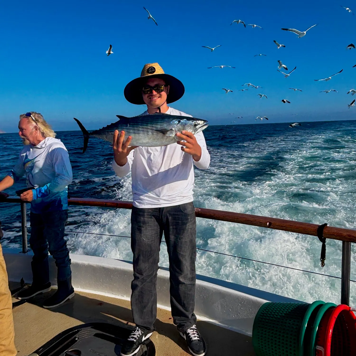 The most recent Pacific bonito catches on Fishbrain