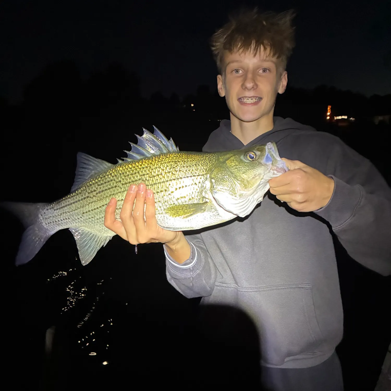 Striped bass caught on Fishbrain