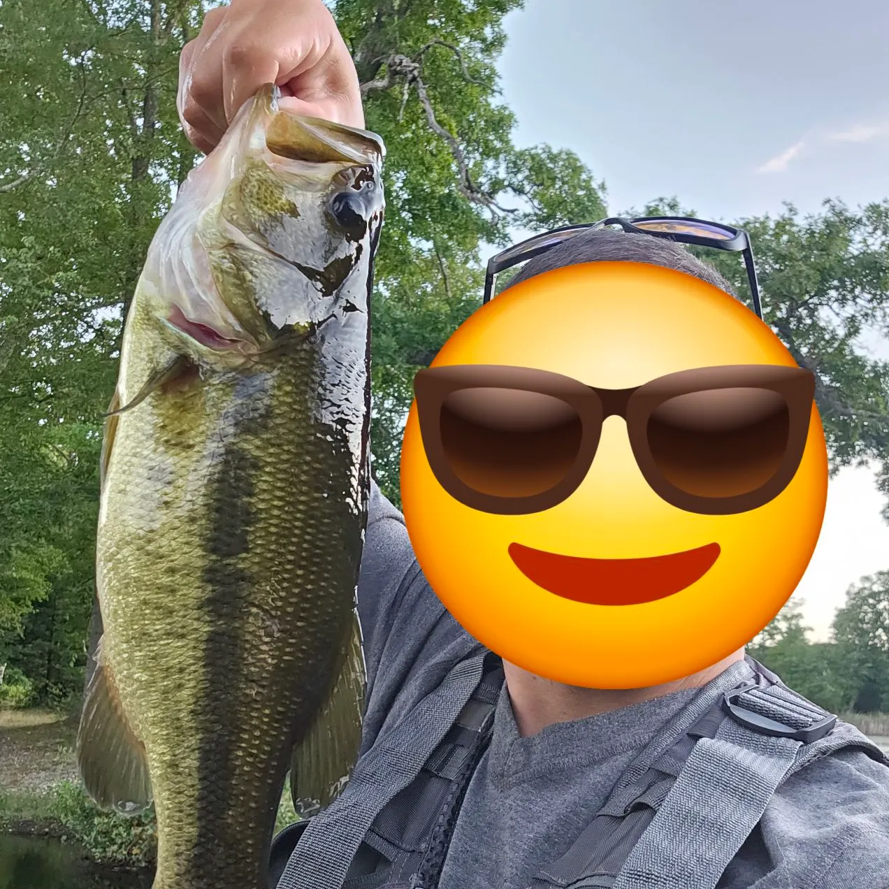 Largemouth bass caught on Fishbrain