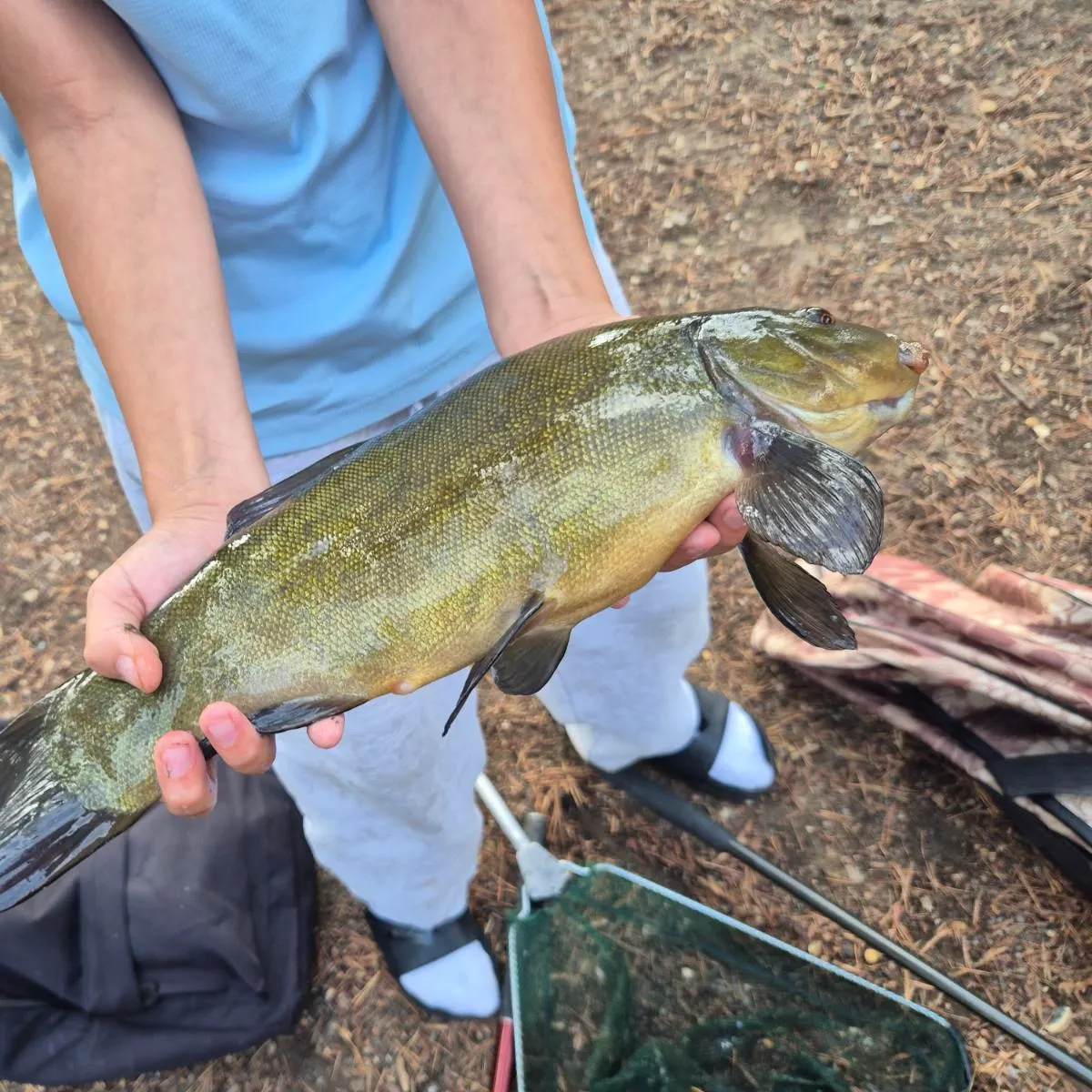 The most recent Southern calamari catches on Fishbrain