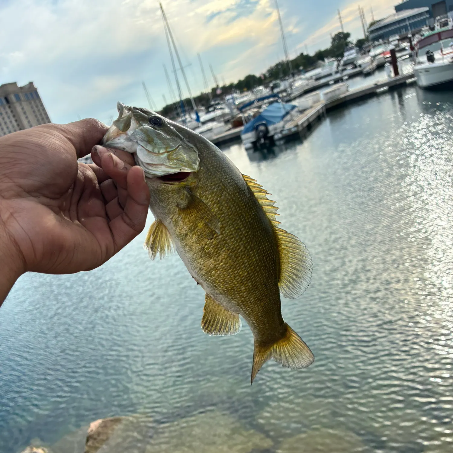 catch