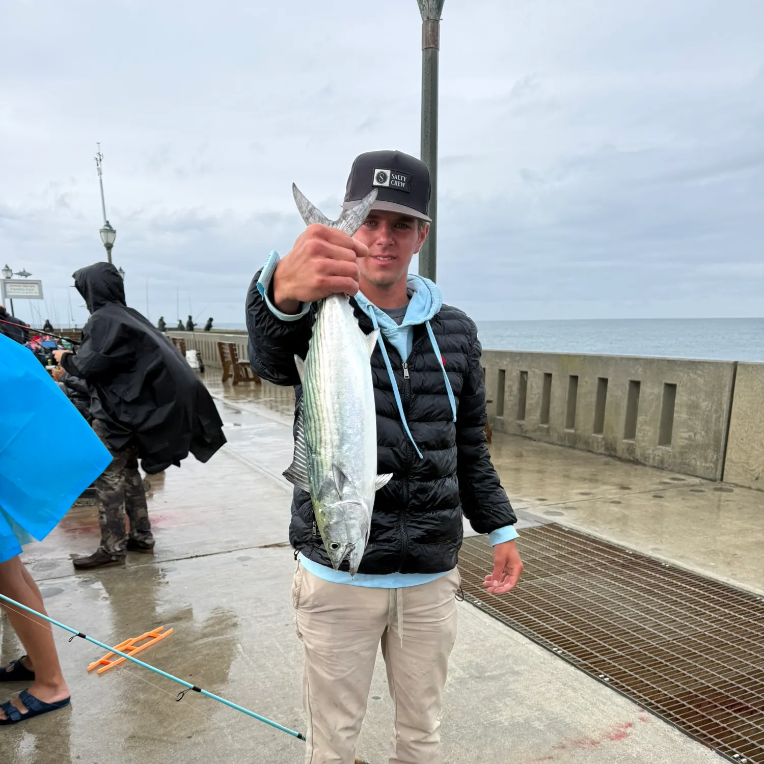 The most recent Atlantic bonito catches on Fishbrain