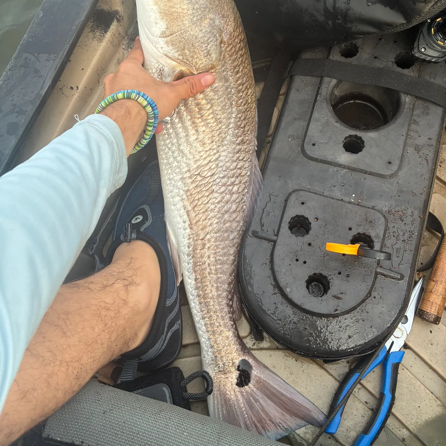 Red drum caught on Fishbrain