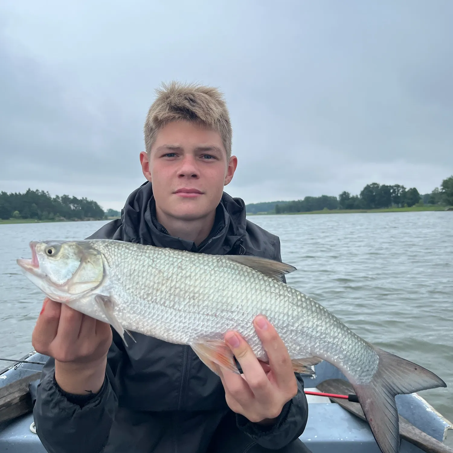 The most recent Asp catches on Fishbrain