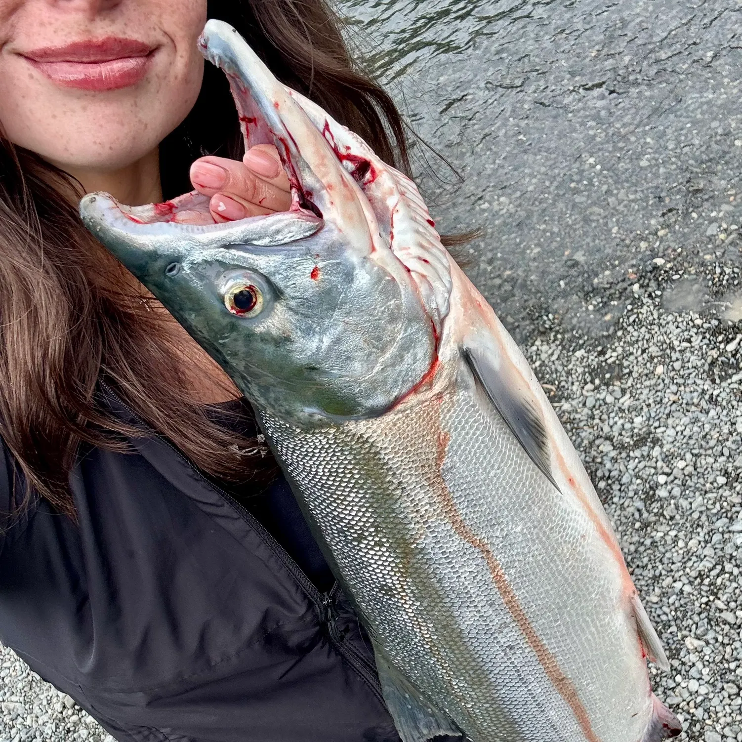 The most recent Sockeye salmon catches on Fishbrain