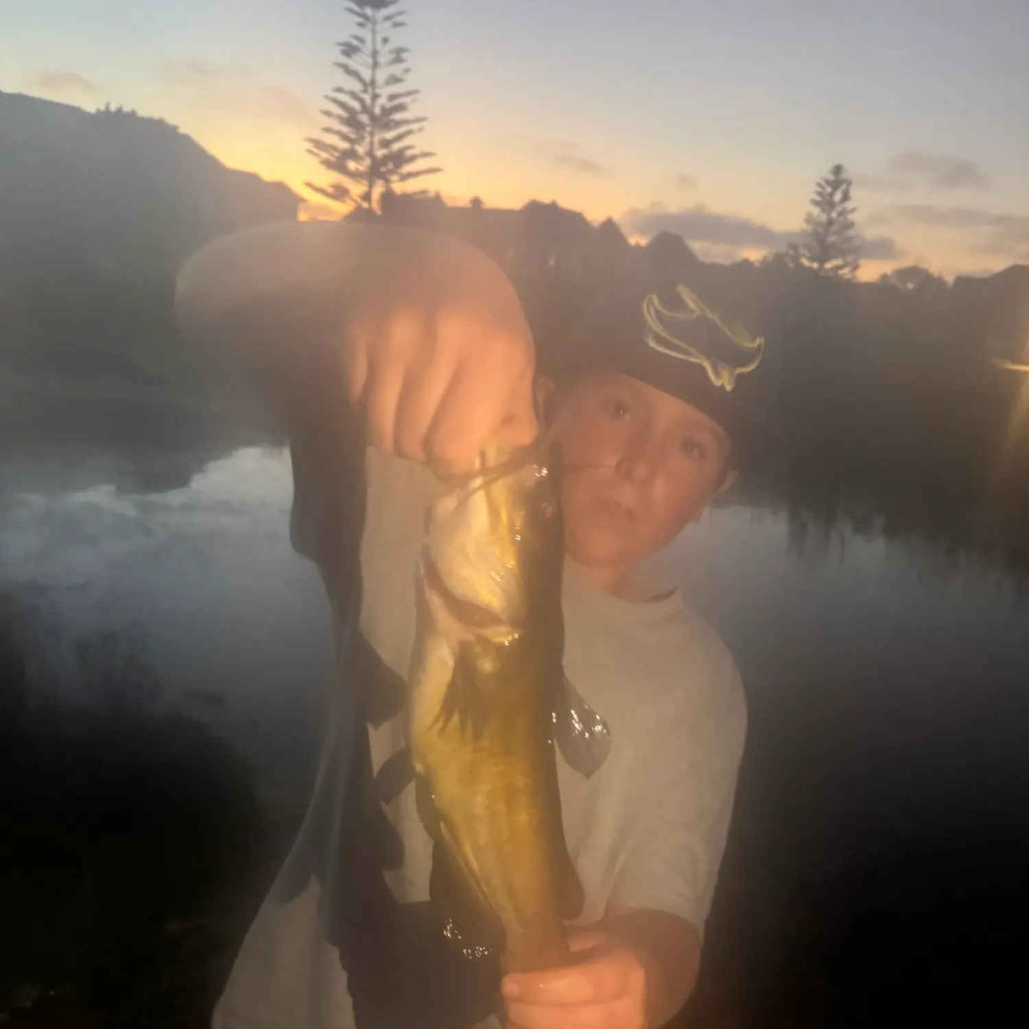 Black bullhead caught on Fishbrain