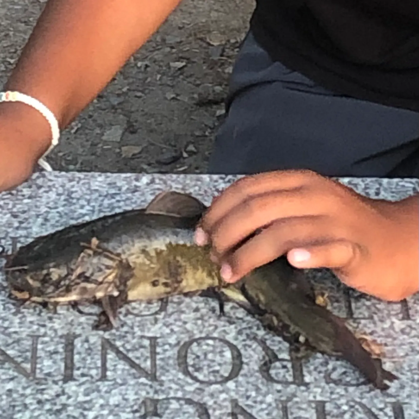 catch