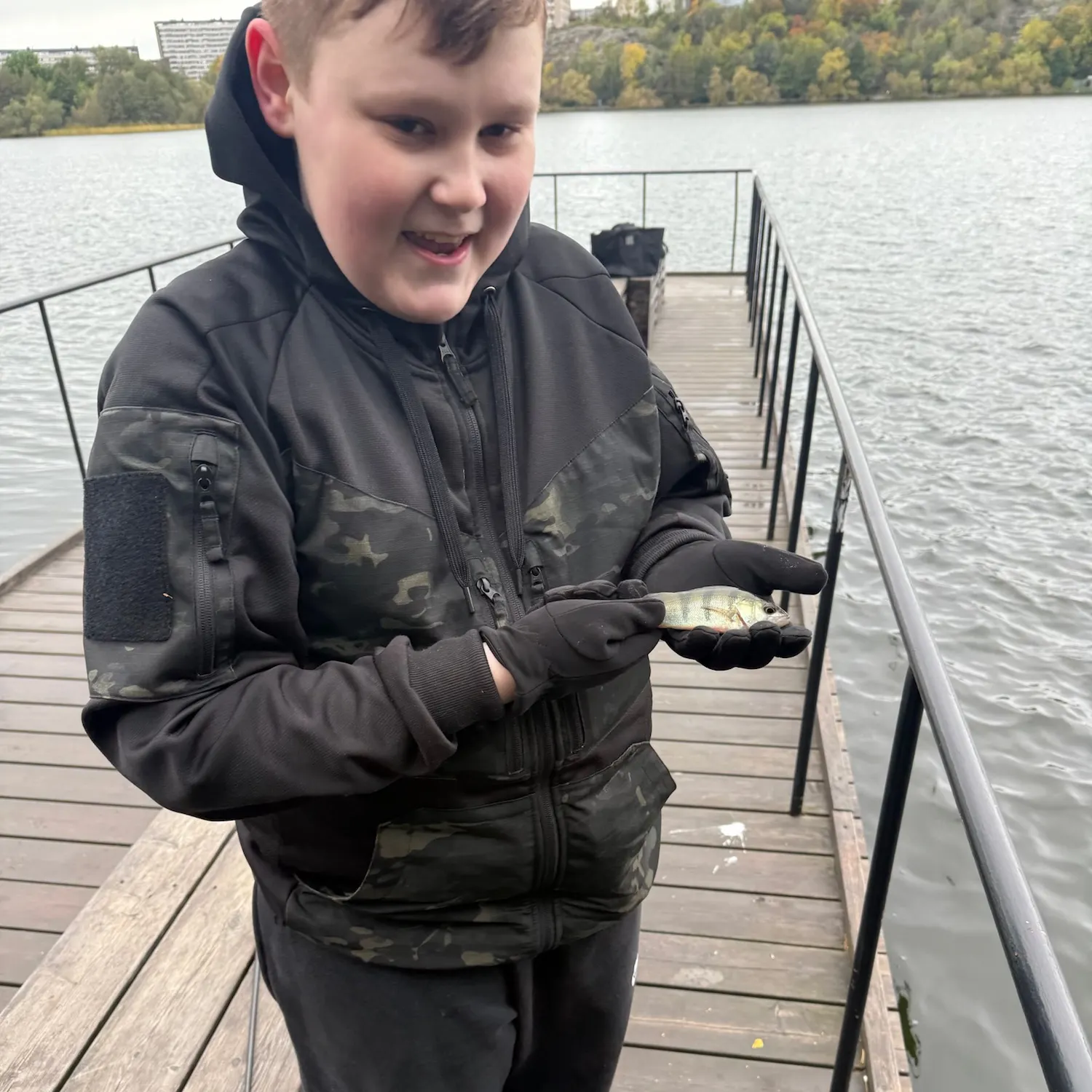 European perch caught on Fishbrain