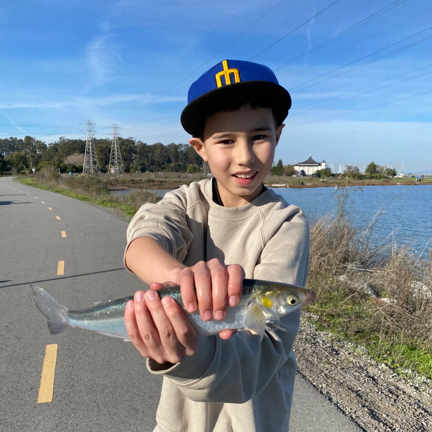 The most popular recent Jack silverside catch on Fishbrain