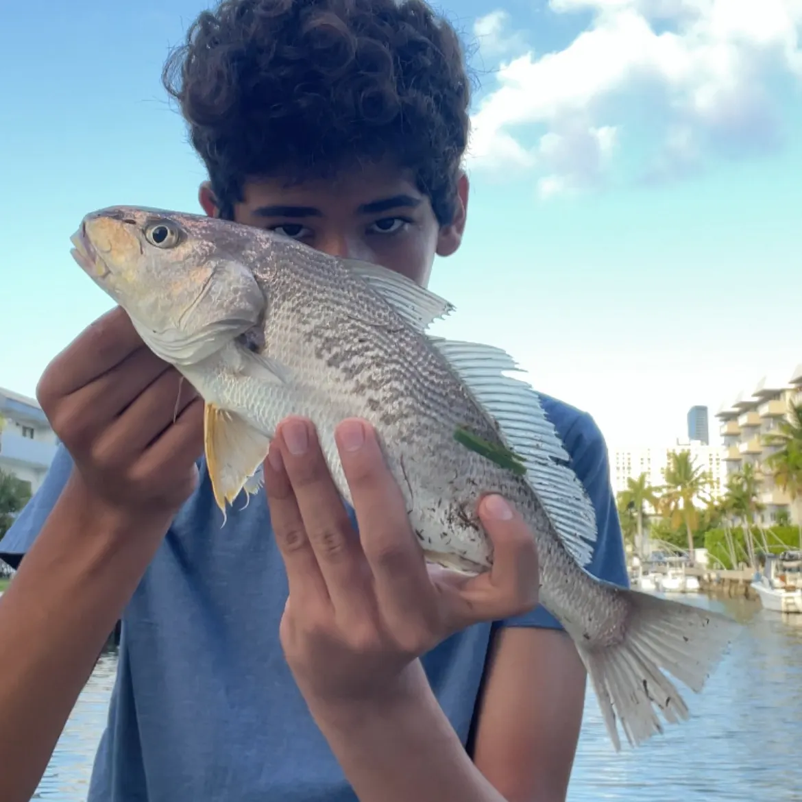 The most recent Atlantic croaker catches on Fishbrain