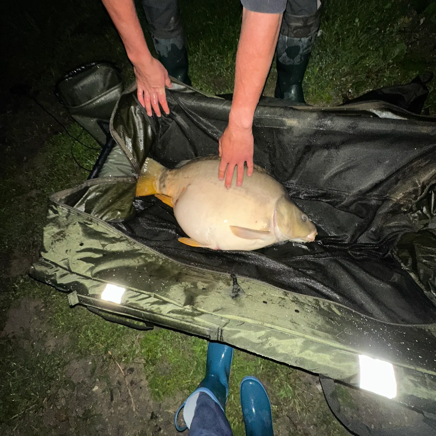 The most recent Leather carp catches on Fishbrain