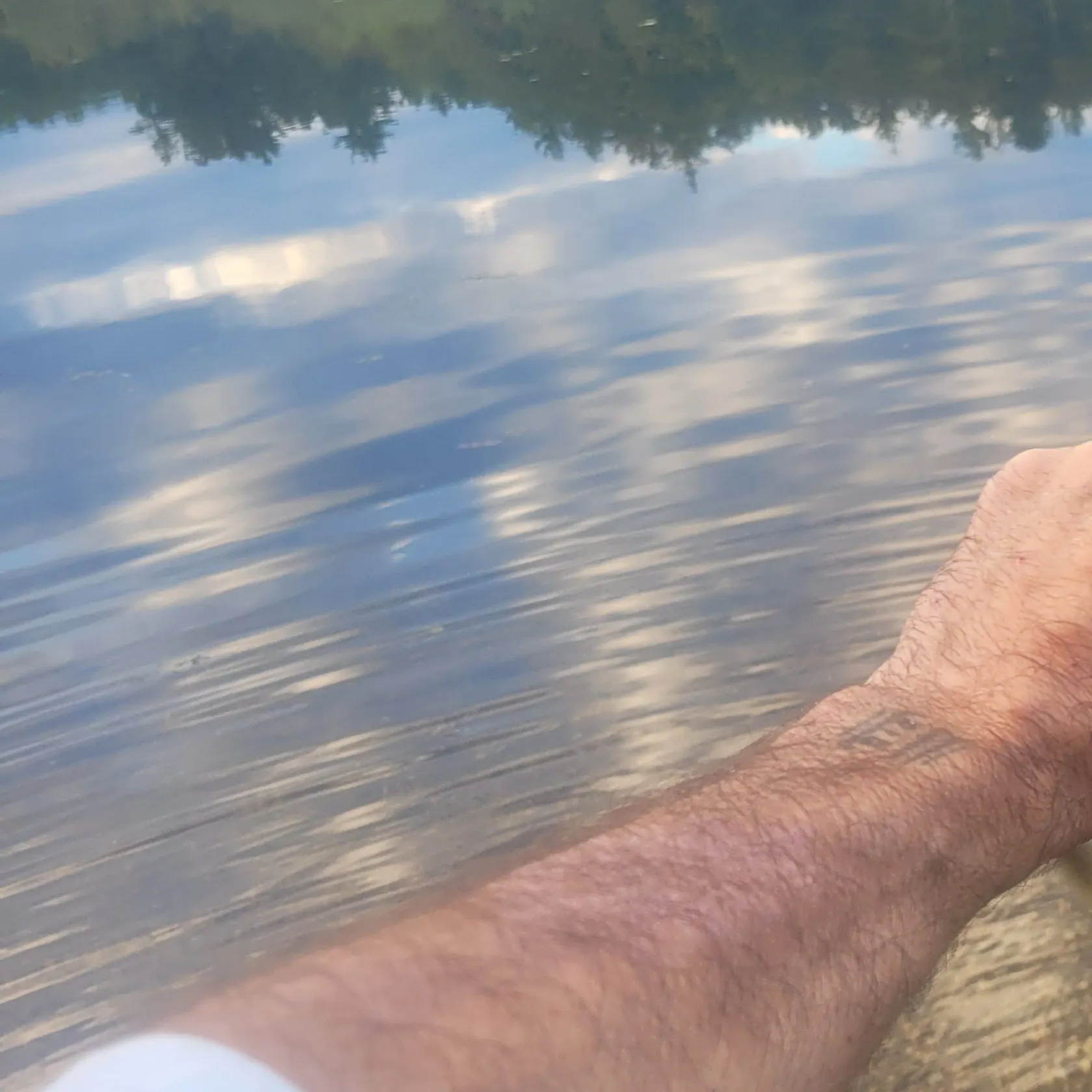 Chain pickerel caught on Fishbrain