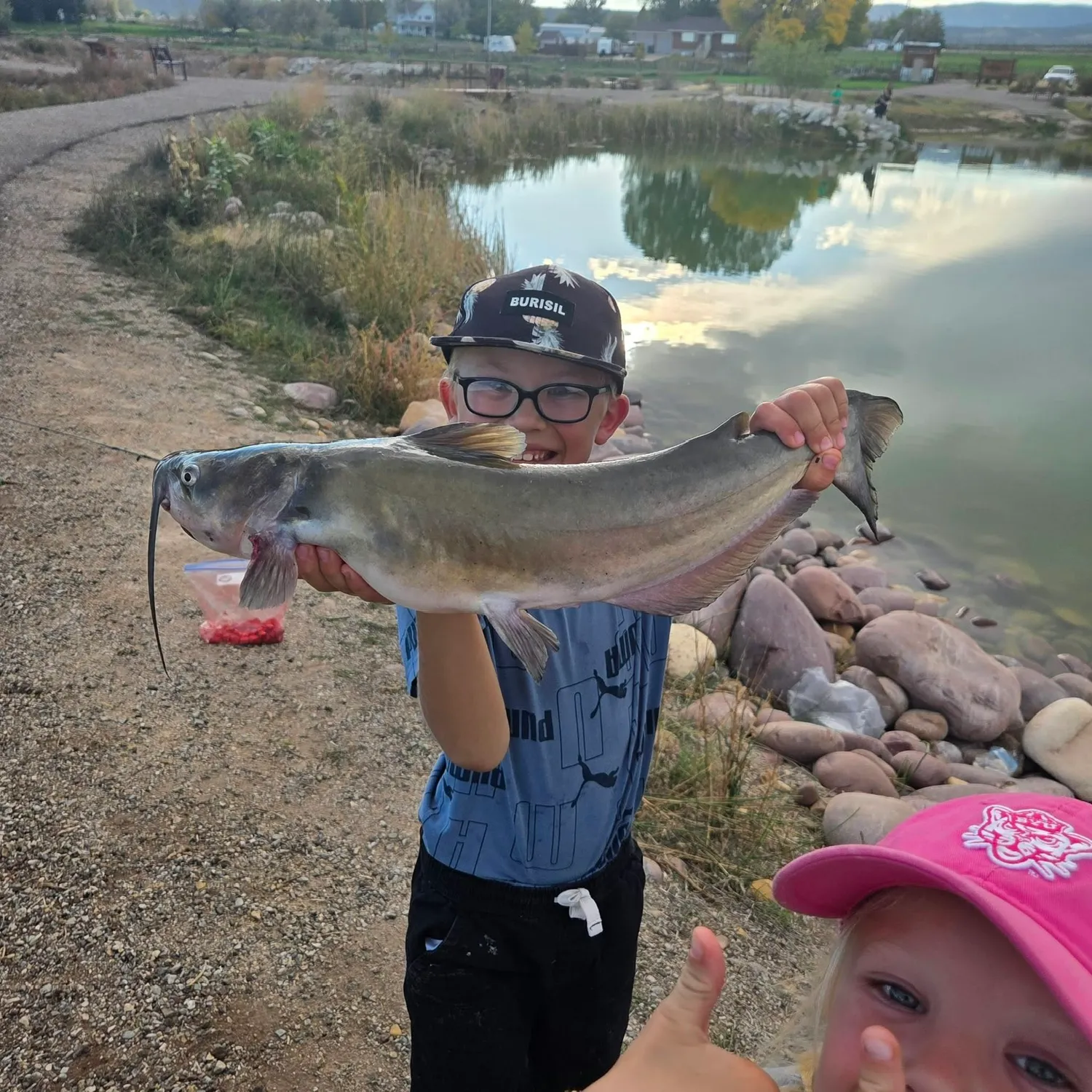 Channel catfish caught on Fishbrain