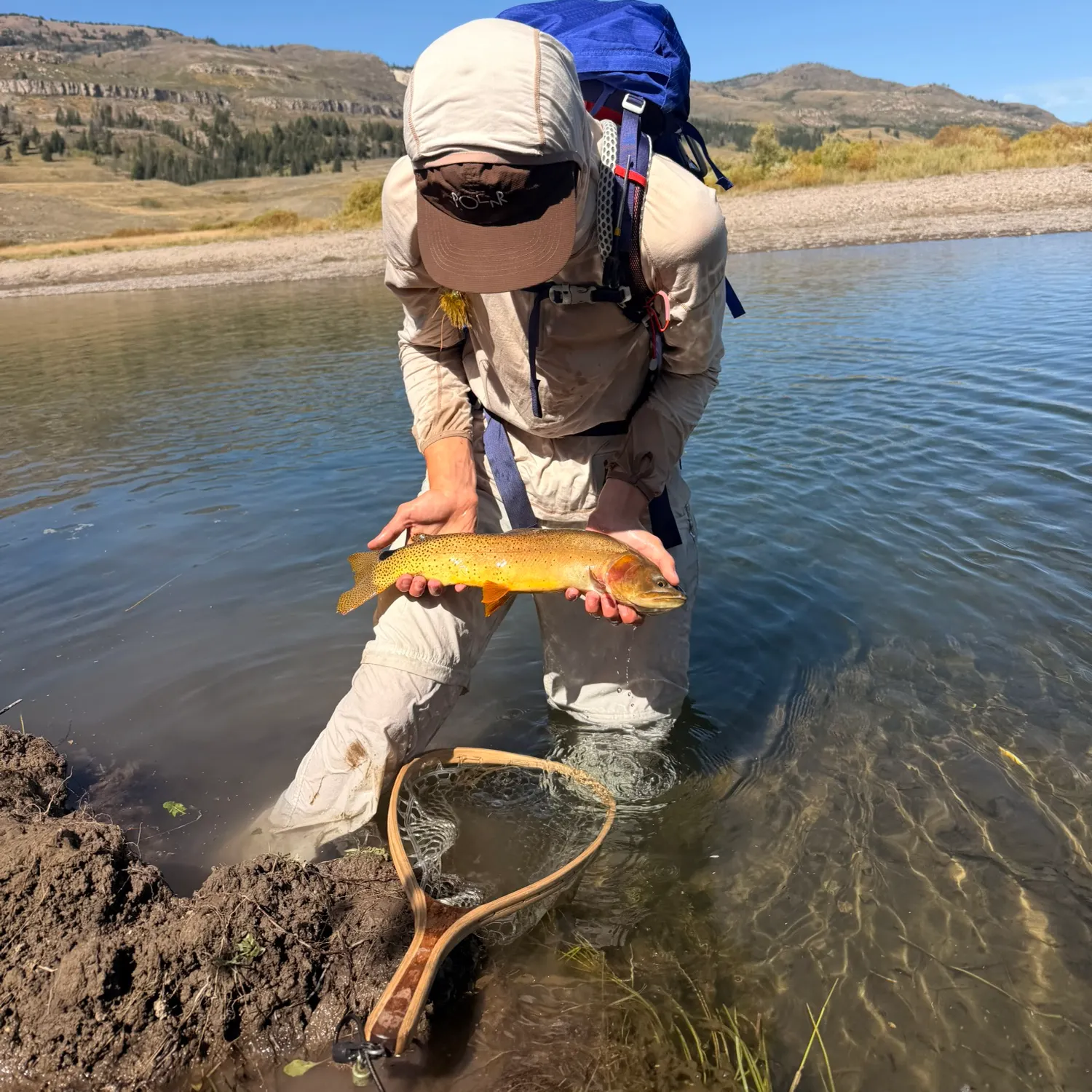 The most recent Yellowstone cutthroat trout catches on Fishbrain