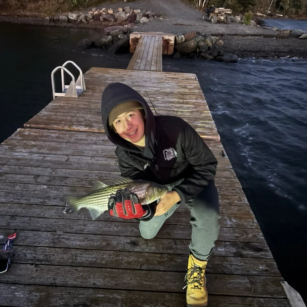 Striped bass caught on Fishbrain